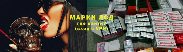 spice Бородино