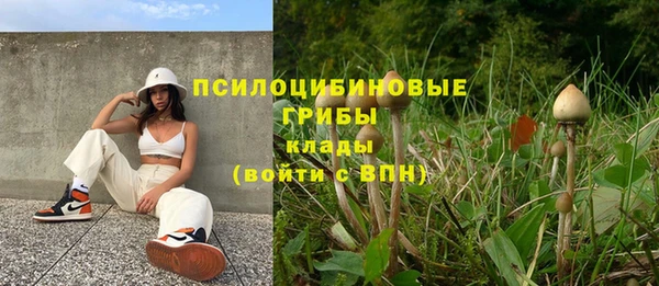 стафф Богородск