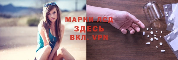 стафф Богородск
