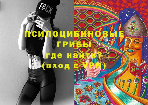 тгк Богородицк