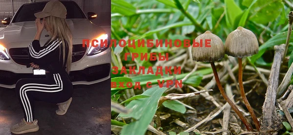 стафф Богородск