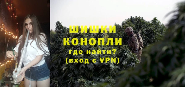 тгк Богородицк